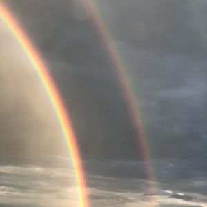 Meet your Posher, Yvette